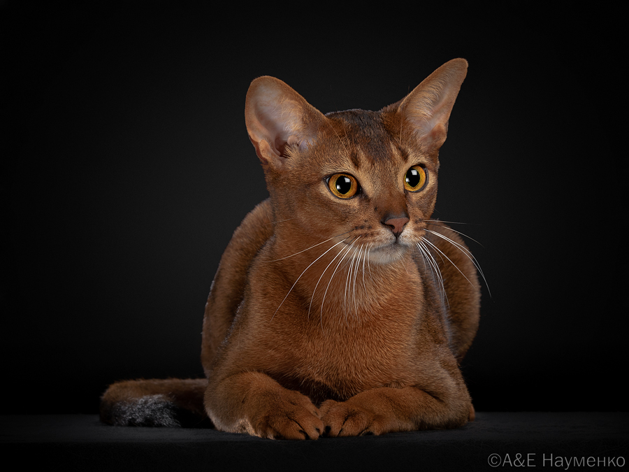 PR. Ugur Sands Goddess